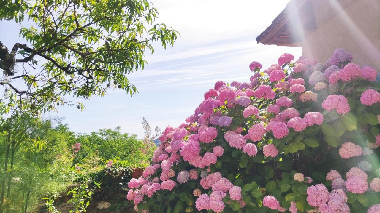 Bed and Breakfast La Fontaine Du Mas Thiviers Esterno foto