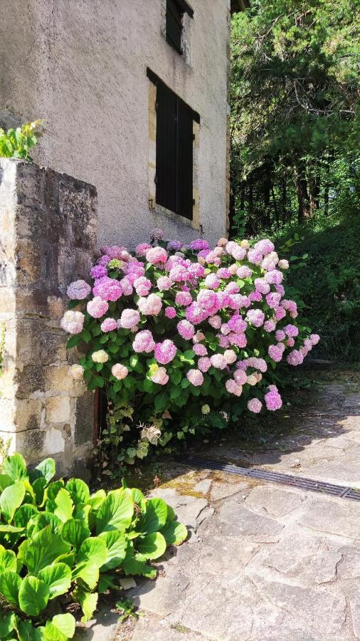 Bed and Breakfast La Fontaine Du Mas Thiviers Esterno foto